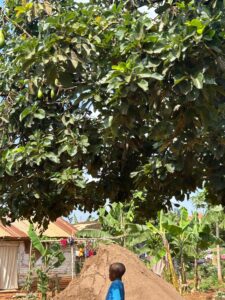 00000376 photo 2026 01 03 10 51 16