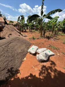 00000384 photo 2026 01 03 10 51 16