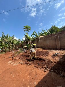 00000389 photo 2026 01 03 10 51 16