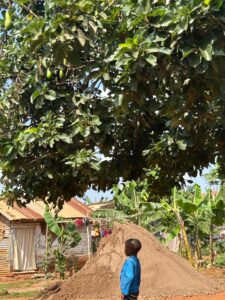 00000390 photo 2026 01 03 10 51 16