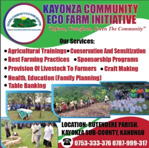 00000505 photo 2025 09 15 11 38 56