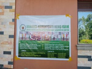 00000659 photo 2025 09 23 05 02 56