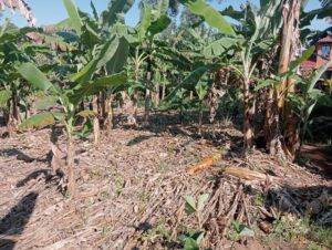 00000669 photo 2025 09 23 05 03 00