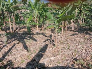 00000670 photo 2025 09 23 05 03 00