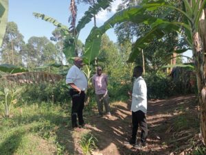 00000672 photo 2025 09 23 05 03 12