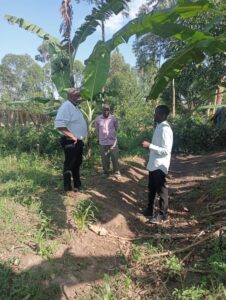 00000673 photo 2025 09 23 05 03 13