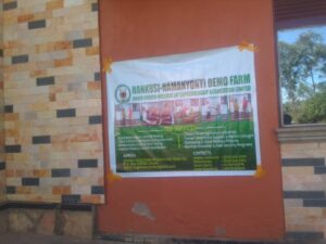 00000689 photo 2025 09 23 08 36 09