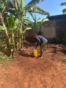 00001210 photo 2026 01 03 10 51 16