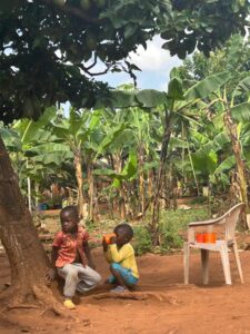 00001214 photo 2026 01 03 10 51 16