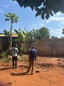 00001242 photo 2026 01 03 10 51 16