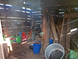 00001446 photo 2026 02 03 20 33 16