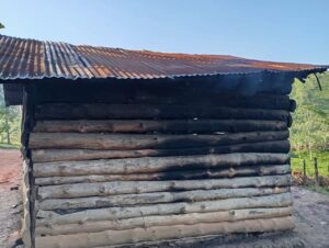 00001447 photo 2026 02 03 20 33 47