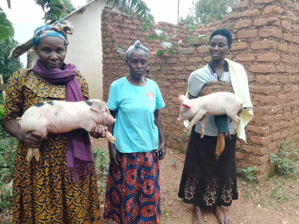 Received 379720531407746